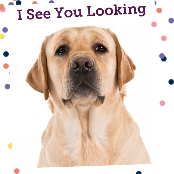 🚫SOLD OUT 10/10/20 - Picture 4 of 7